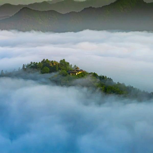 坡山竹林小屋