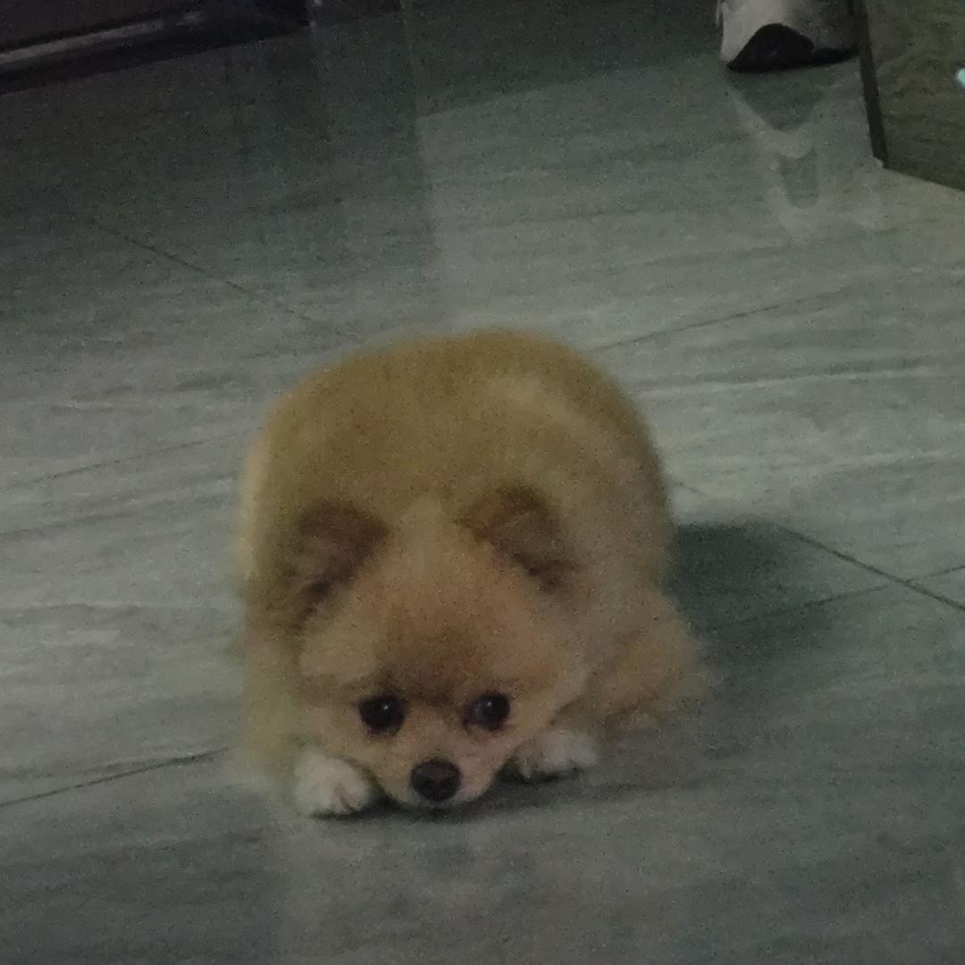 印象北湖