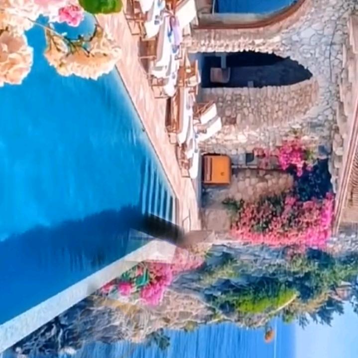 用户12606335959花好月圆