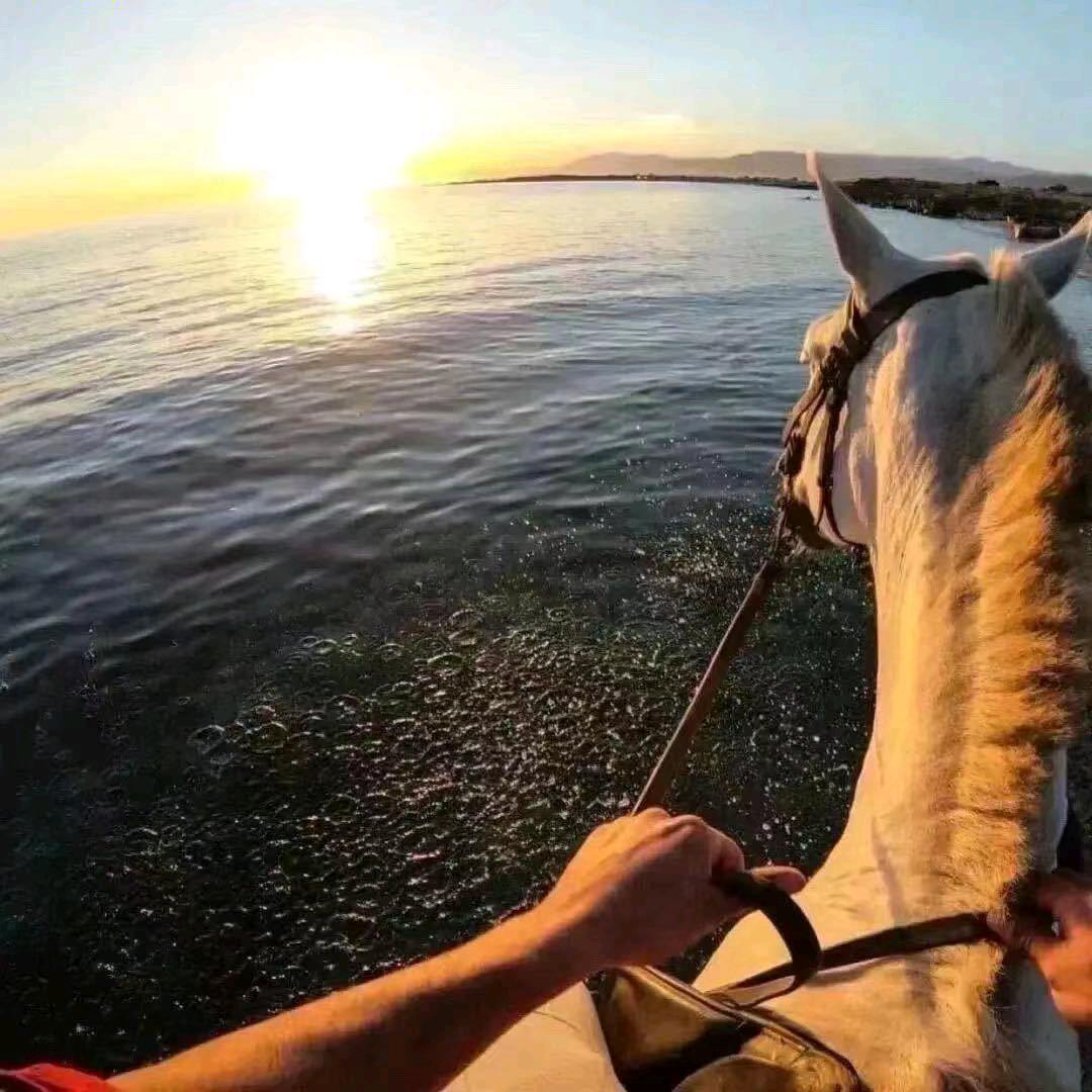 浪起四海