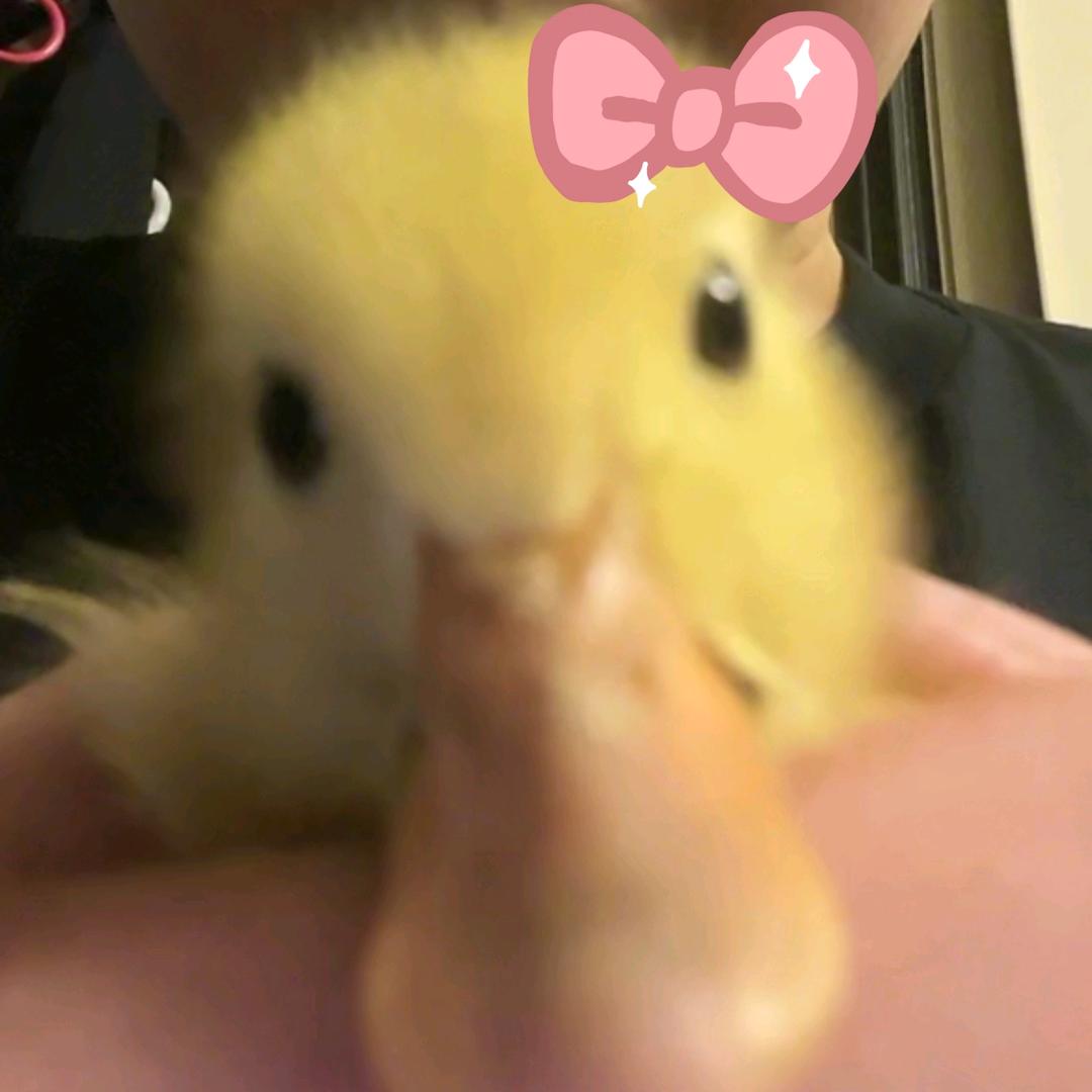 兀璐