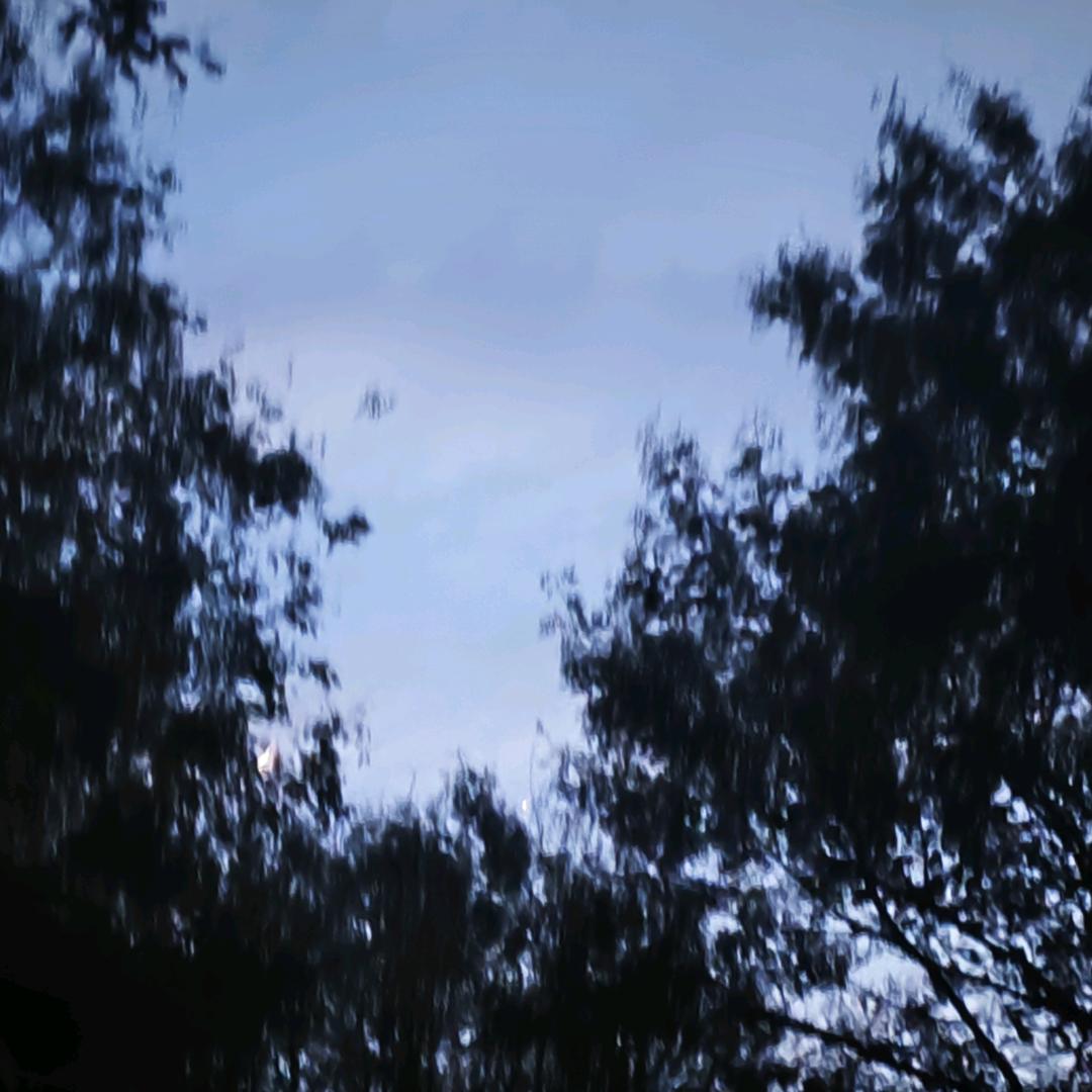 兜兜的姐姐