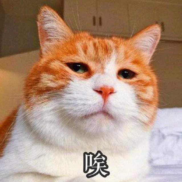 薏仁米