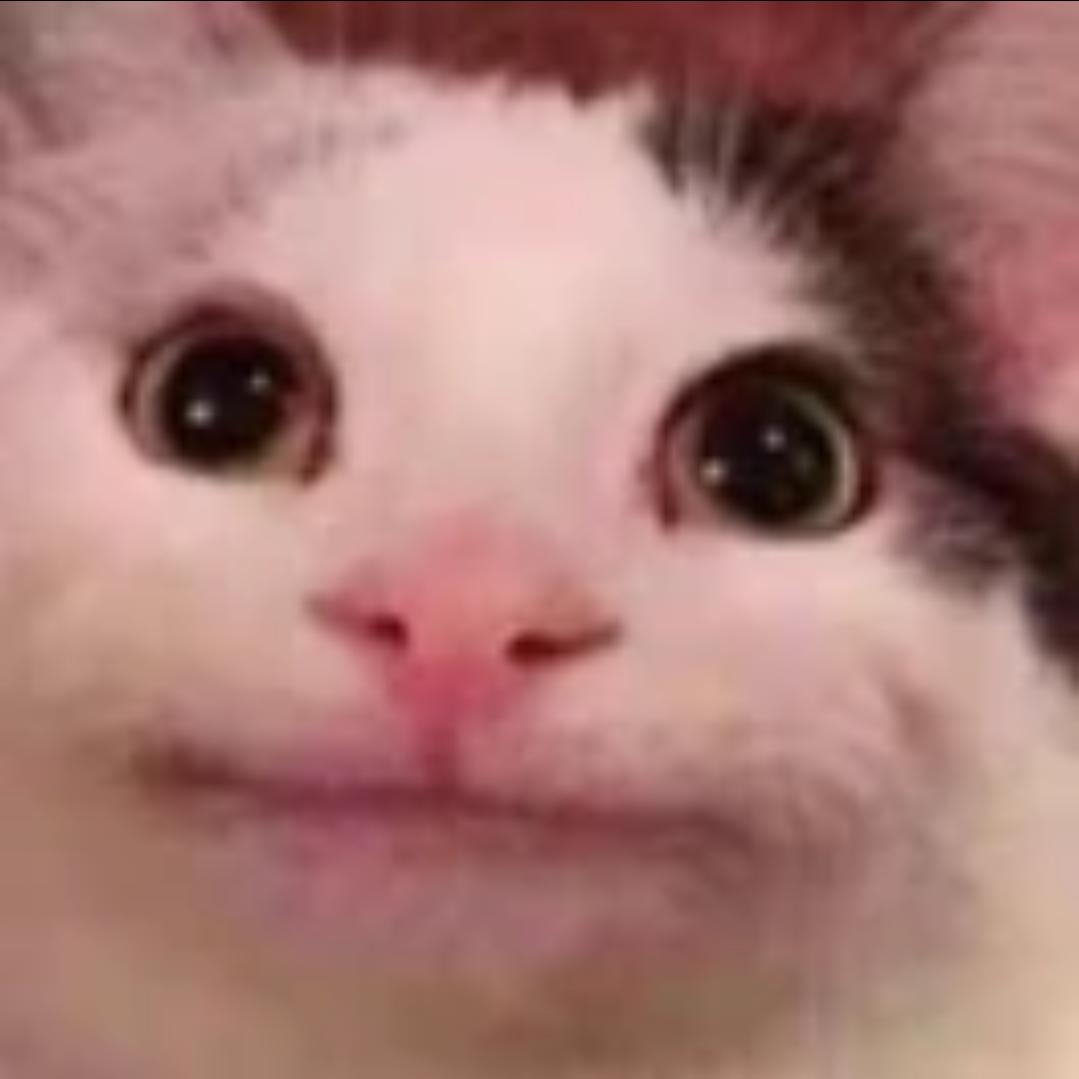 番茄炒西红柿炖圣女果