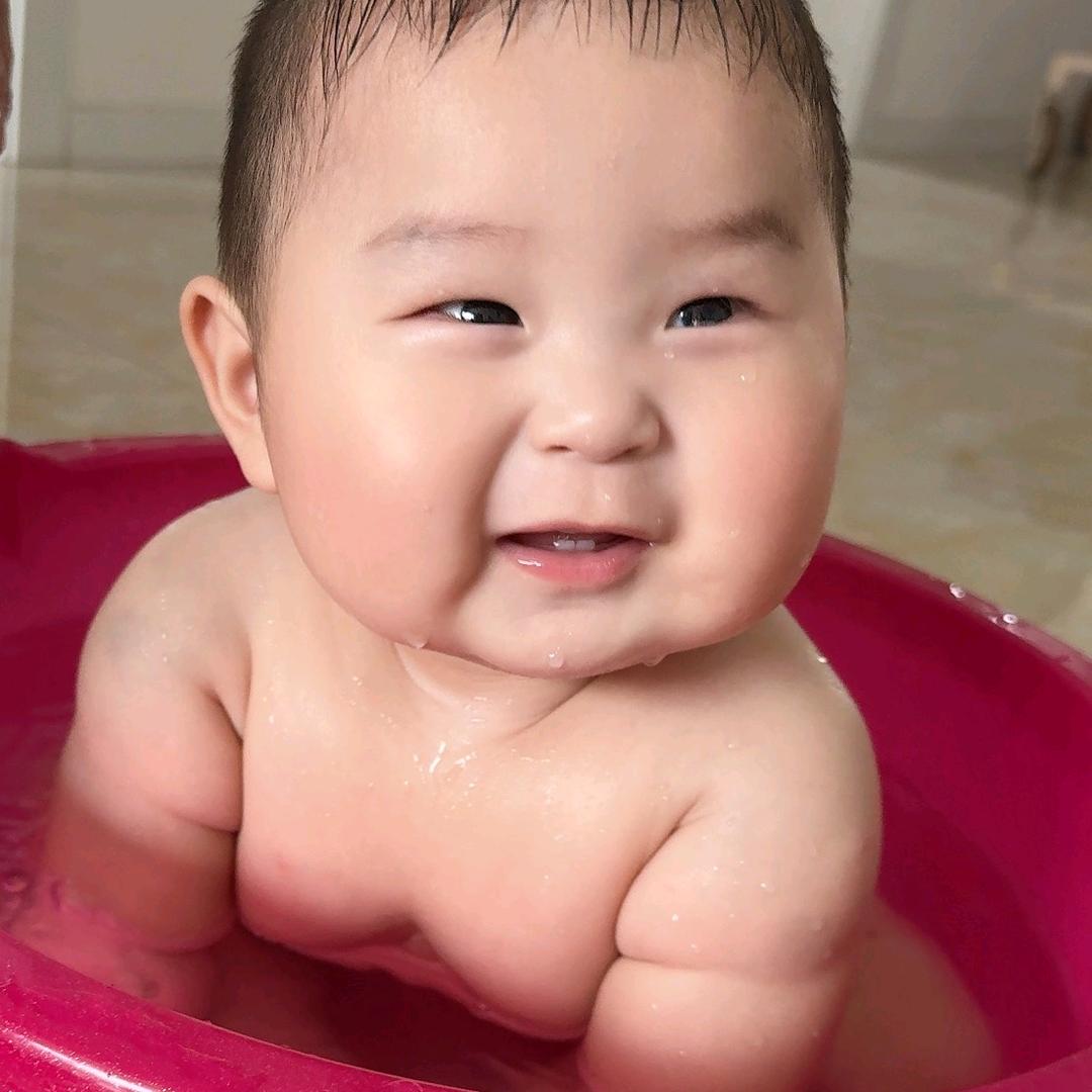 鲤鱼_251903531