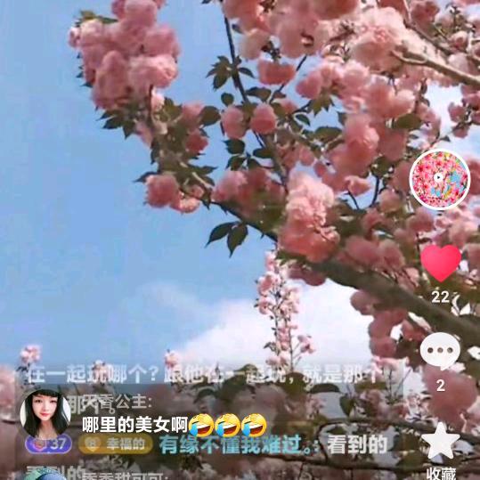 姜太公钓鱼