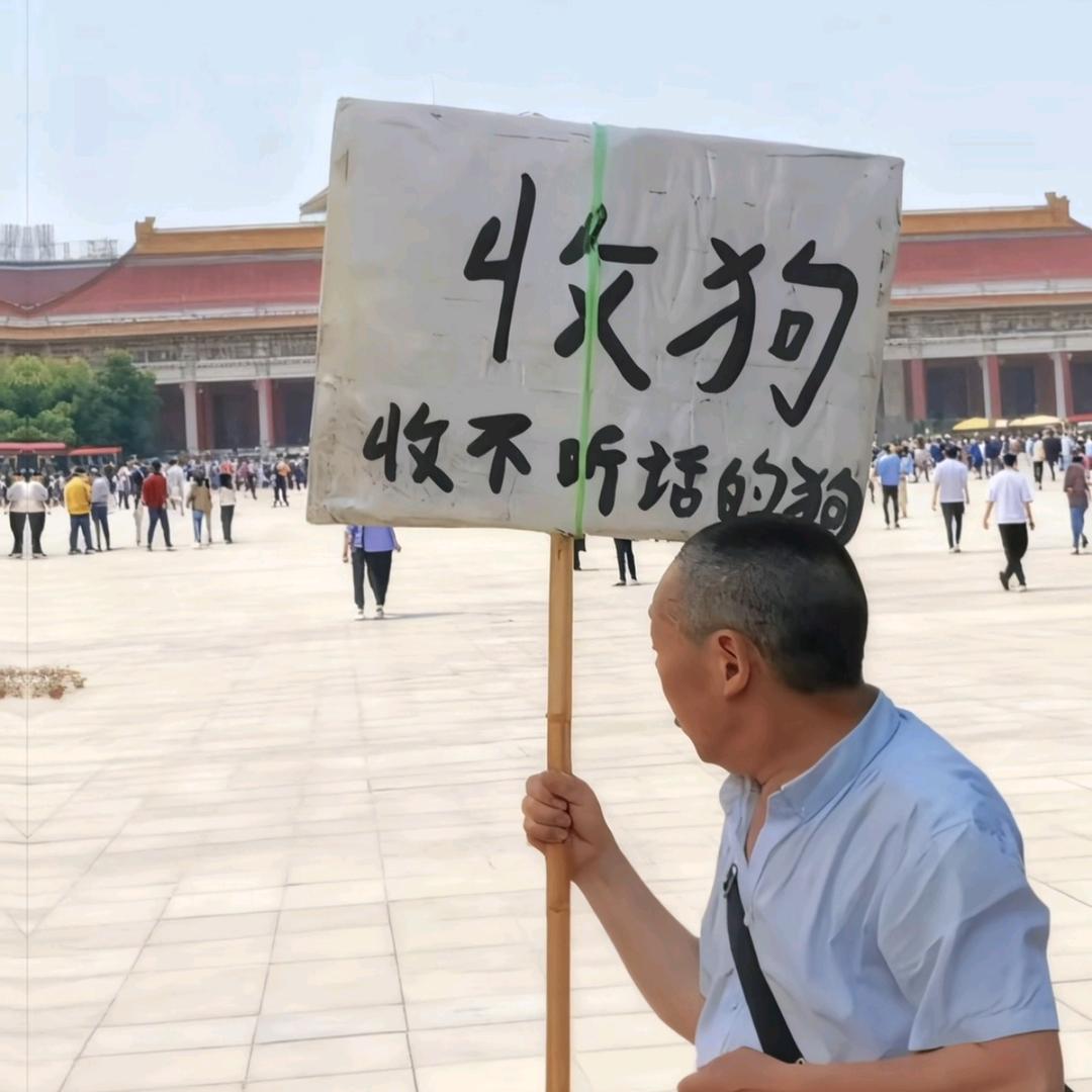 黄瓜炒鸡蛋