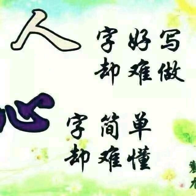 鲁微游子