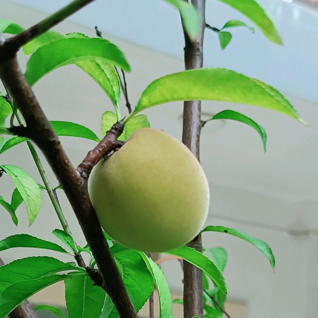 S~飞舞😘