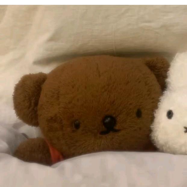鱼的眼泪