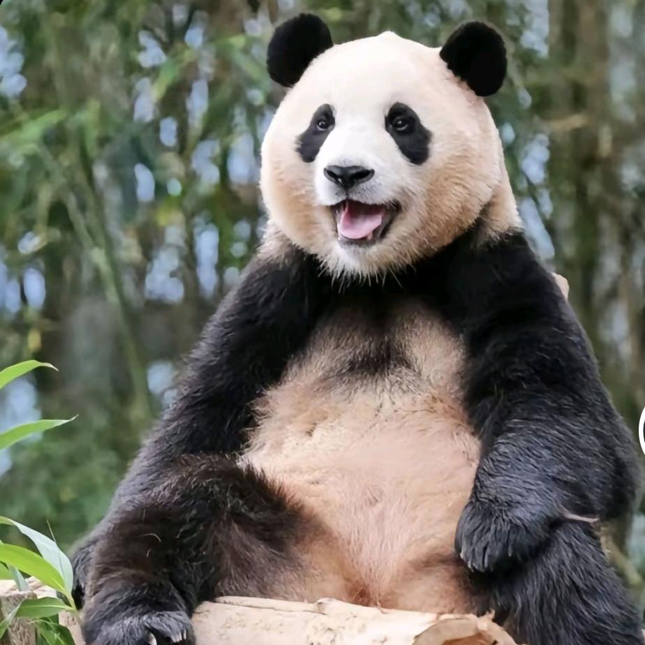昕然