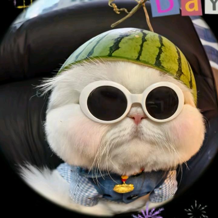 🐝偷吃月亮🍀