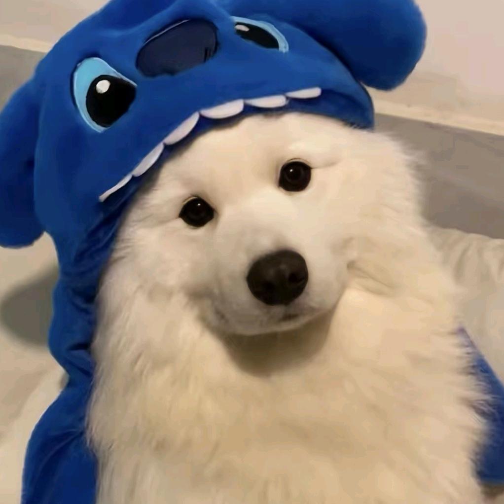 🌈苹果杰克