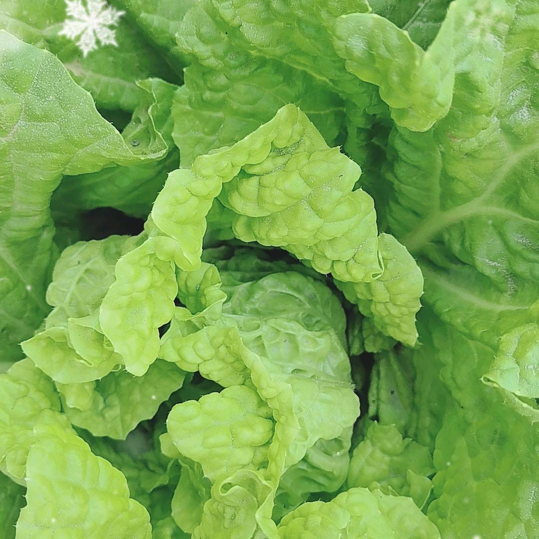 时间可以证明一切