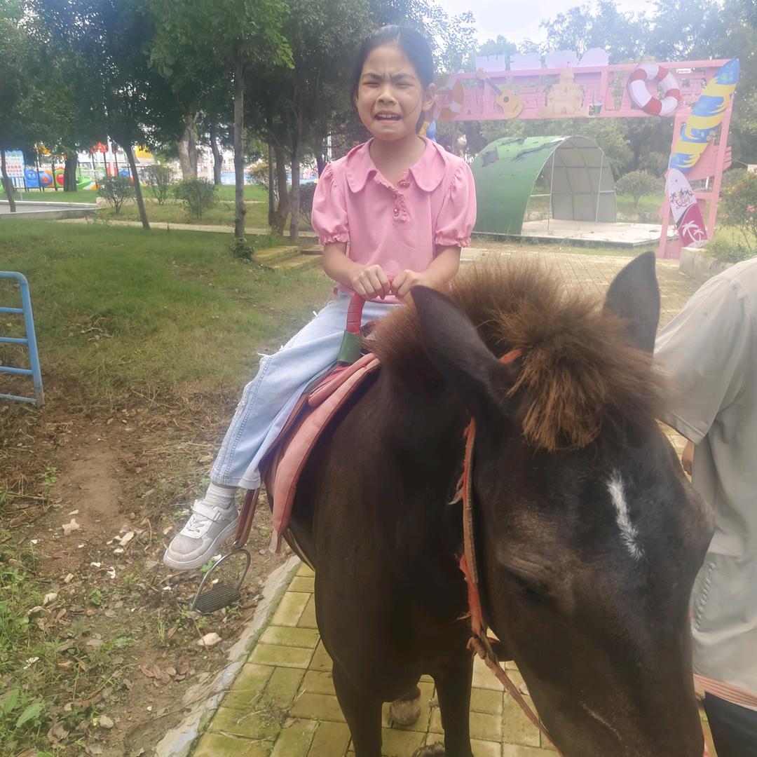 净水机家用商用售后一条龙
