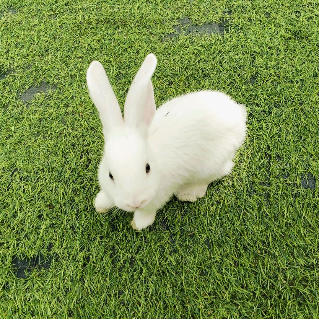 এ᭄ꦿ☆拾一এ᭄ꦿ