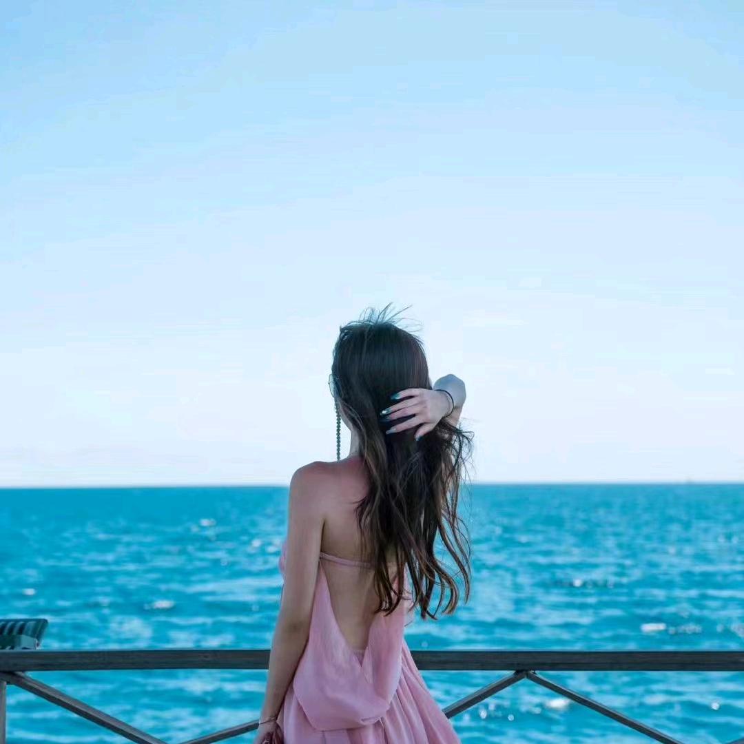 小～鑫(七号)