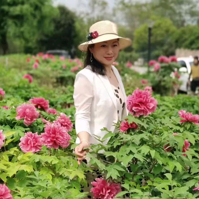 ✨宇倩✨