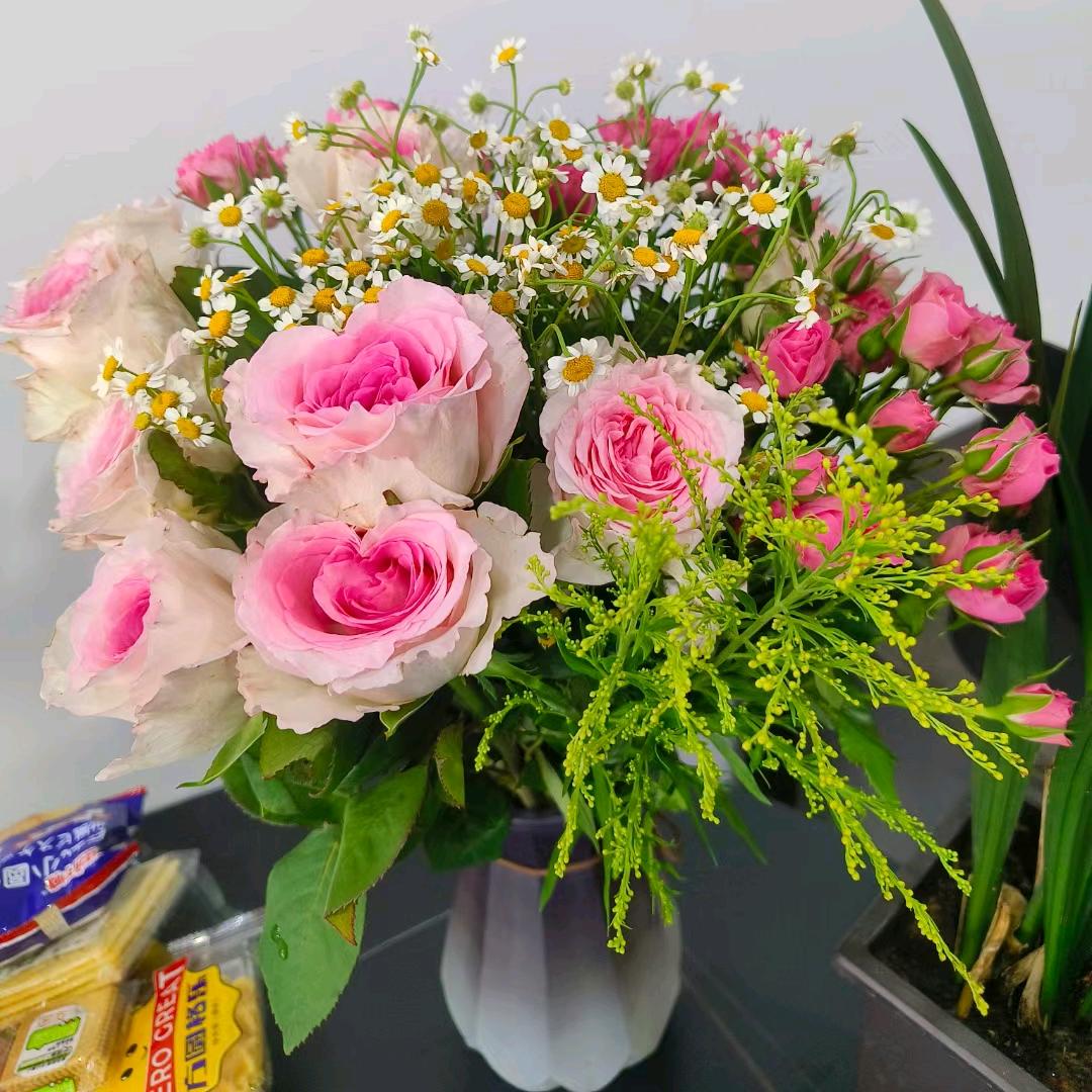 泗阳神兽成绩规划师桃花