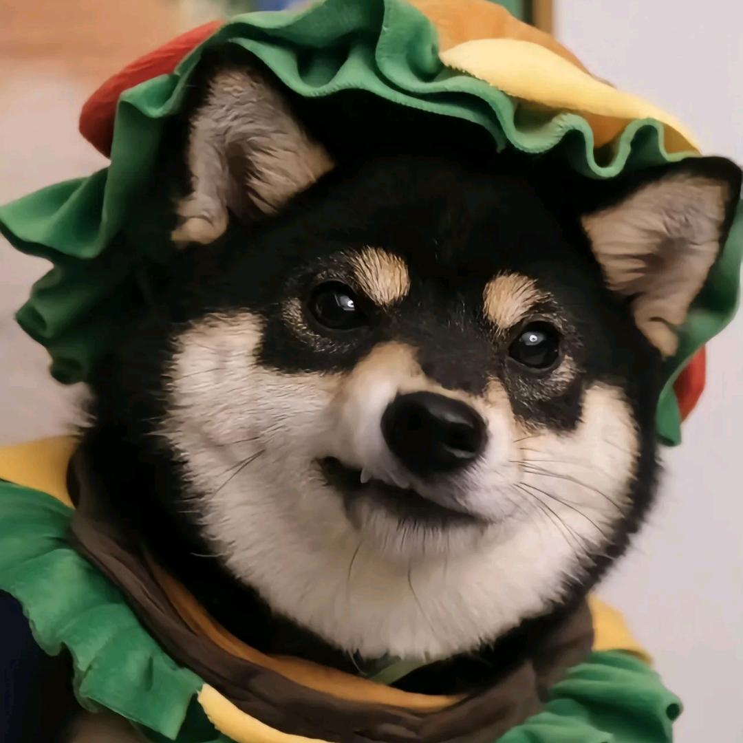 钱玉红
