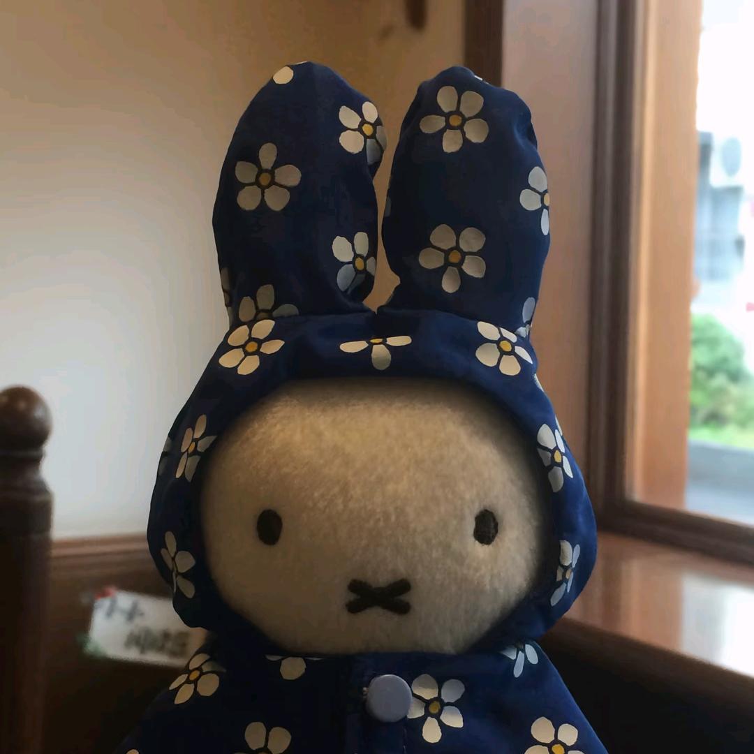 茵式分解
