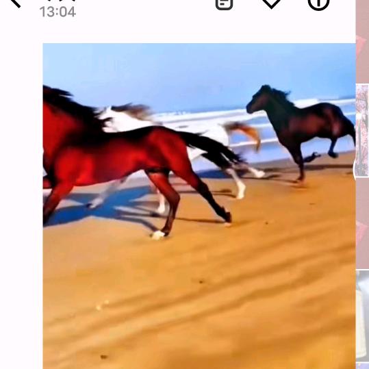 💑旺旺陈真实💑