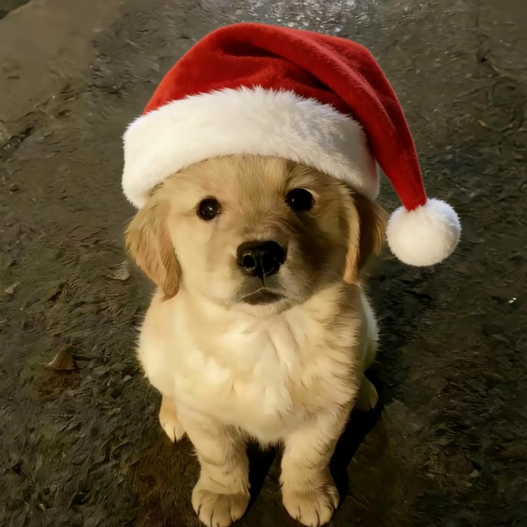 好想睡到自然醒