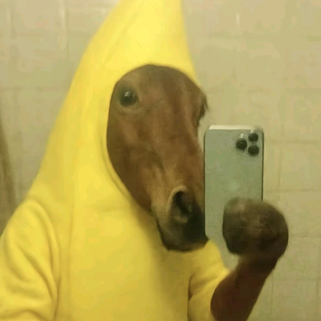 拾壹.