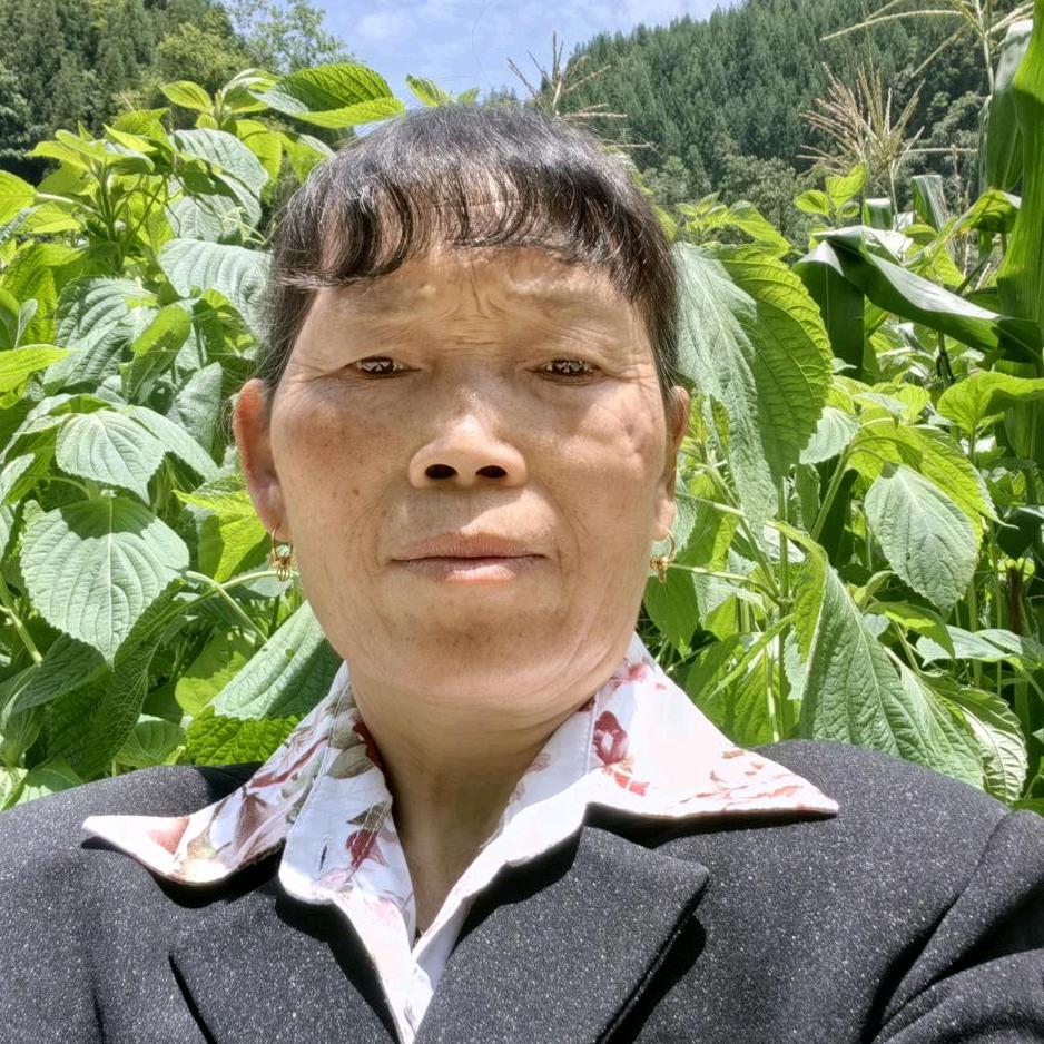 王飞姐每晚7点10直播