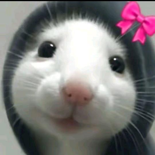 @奶露泡%