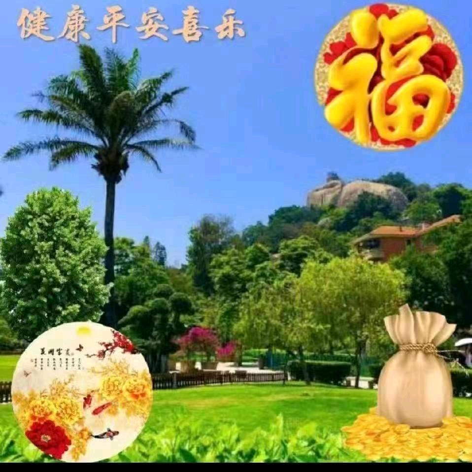 阳光月亮