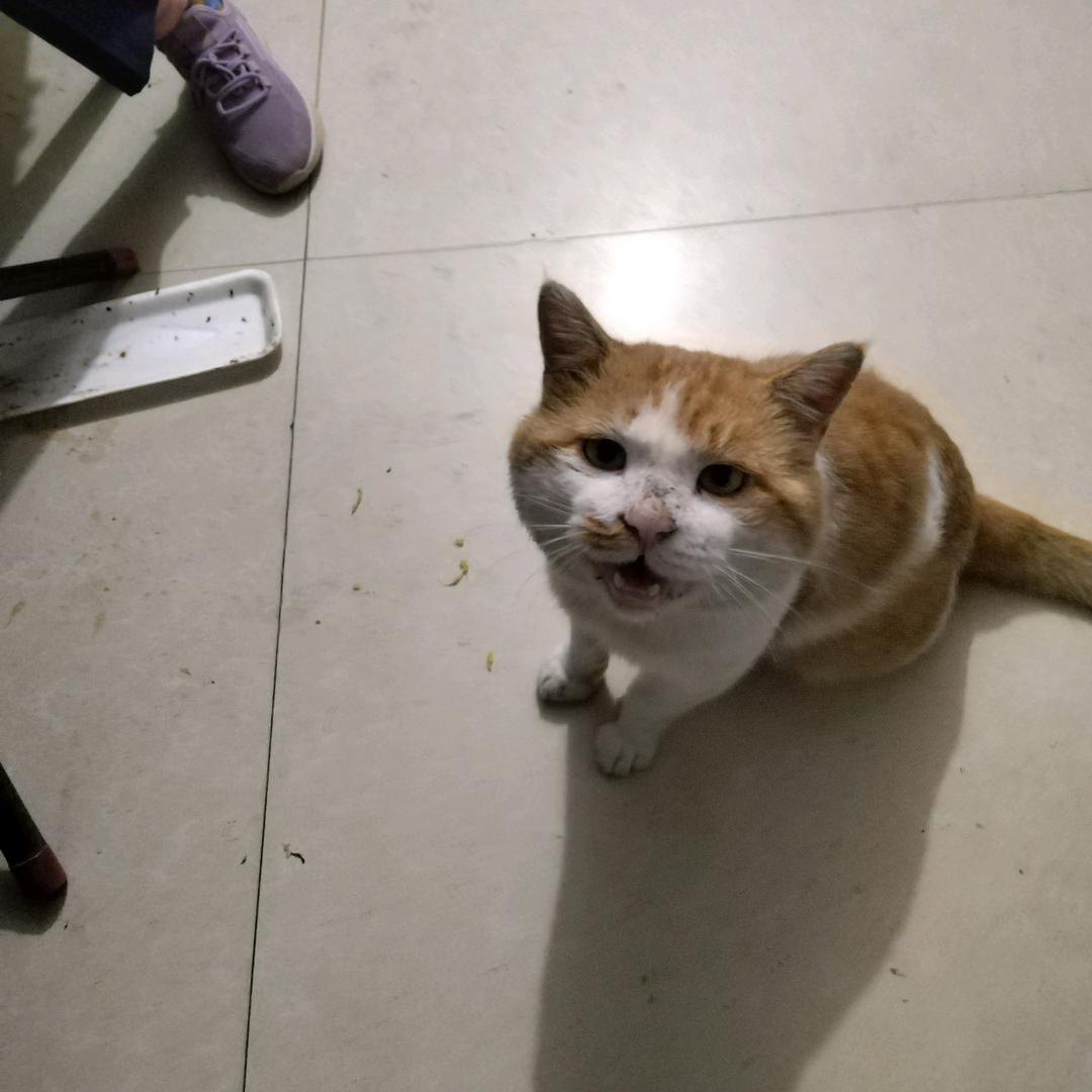 水