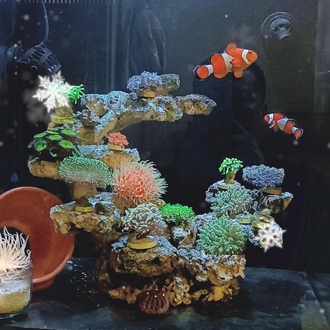 小小海洋