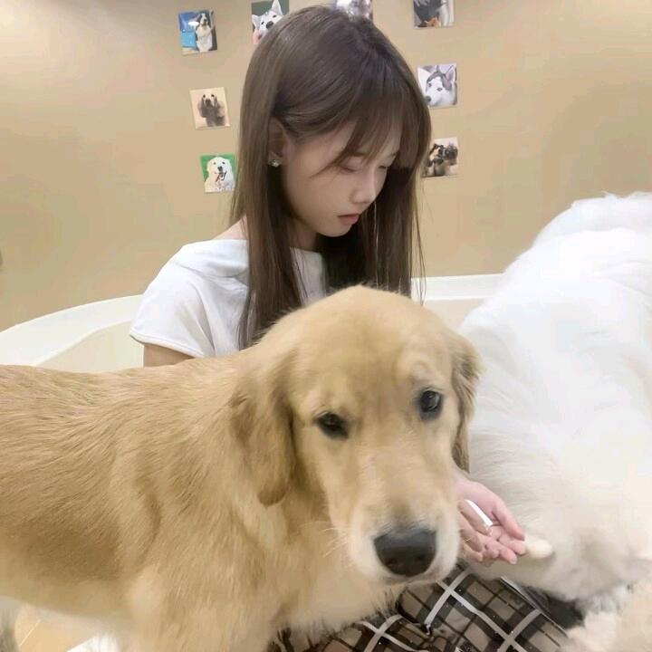 营销经理:昭昭（团队招人）