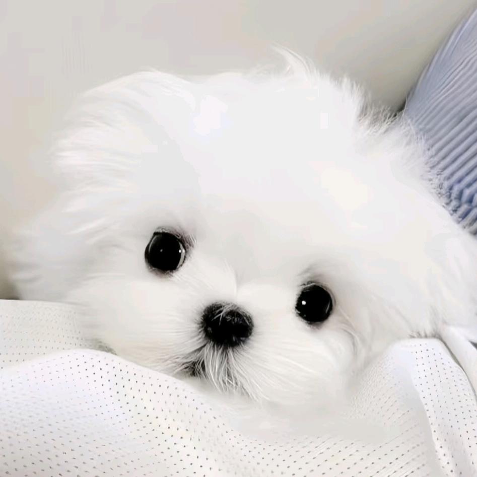 ʚ 烟黎 ɞ