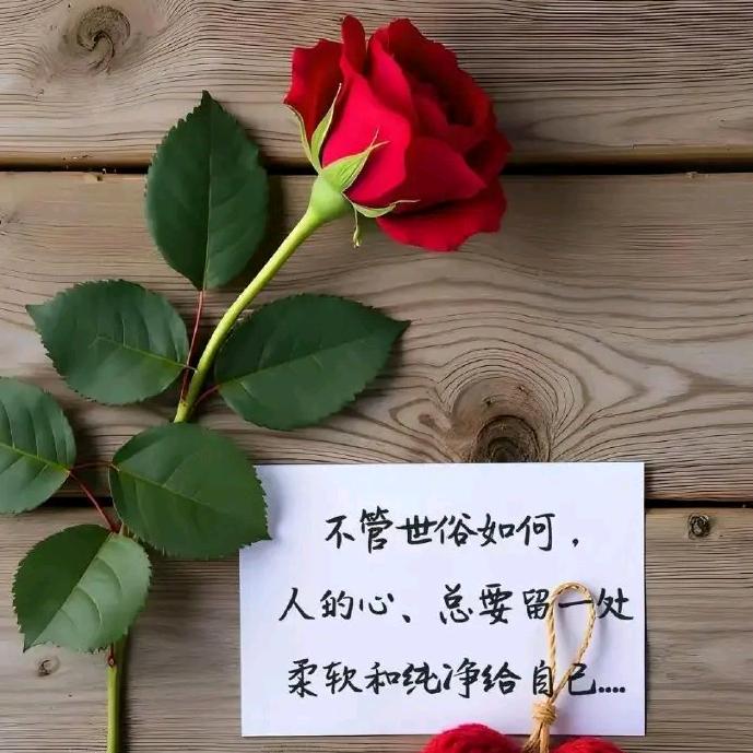 @艳艳