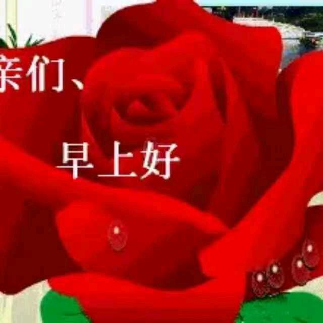 杨🌹姐