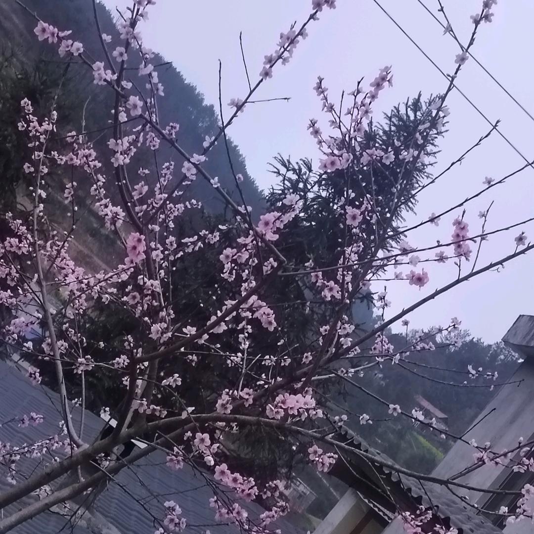 郭大姐