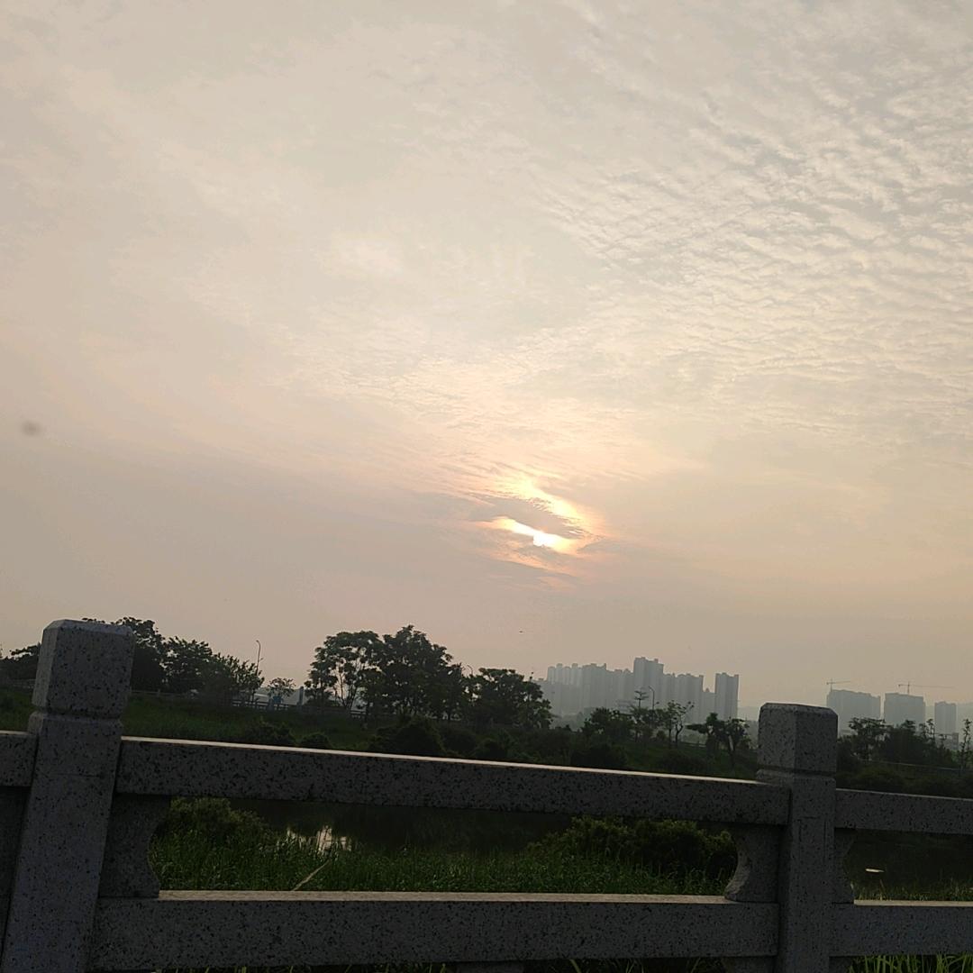 -每天都好困^