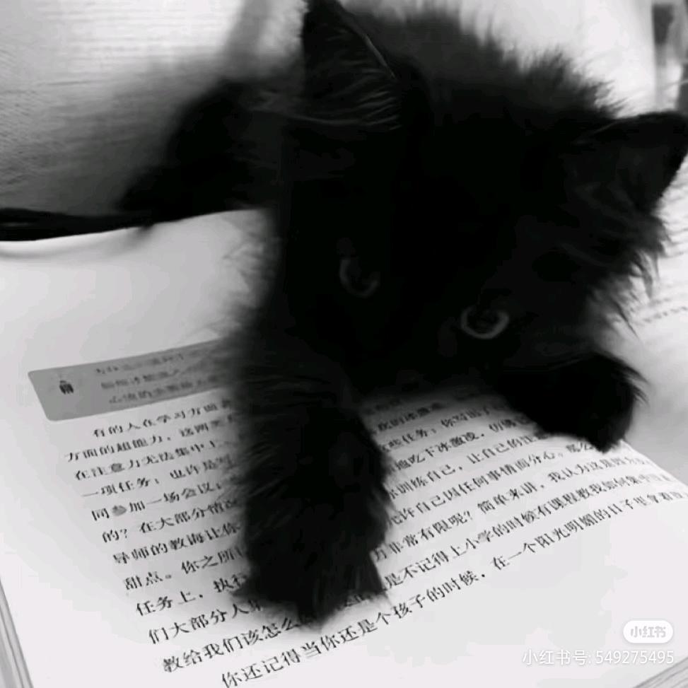 菱角湖