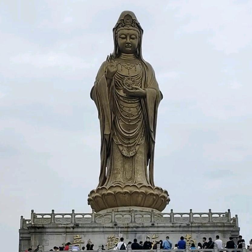 晨妍希