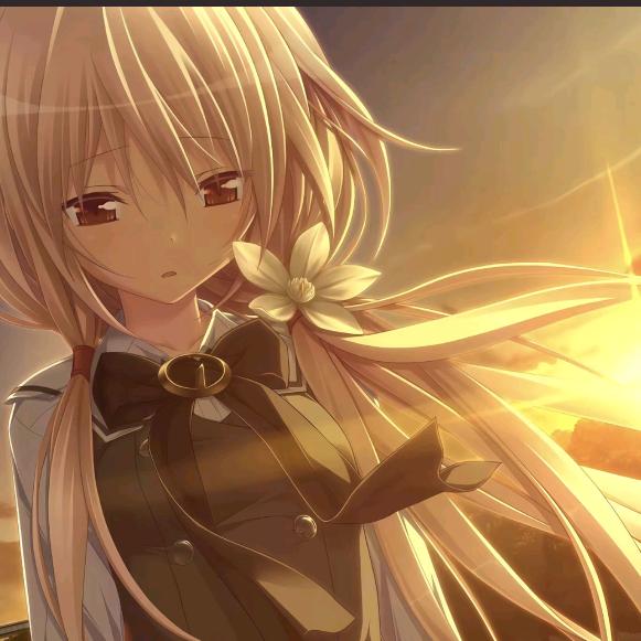 不吃芹菜(学习版)