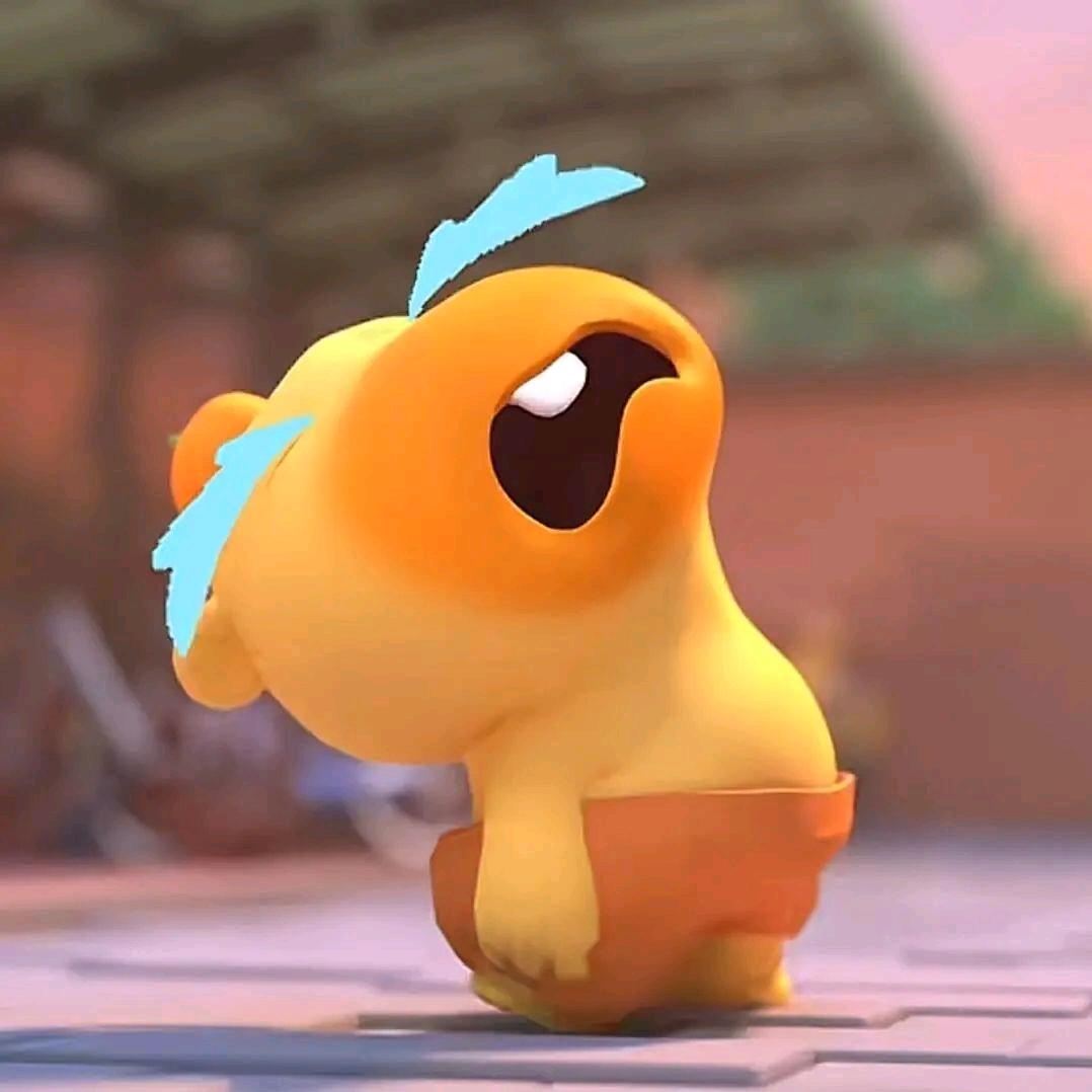 土豆丝炒姜丝🥔