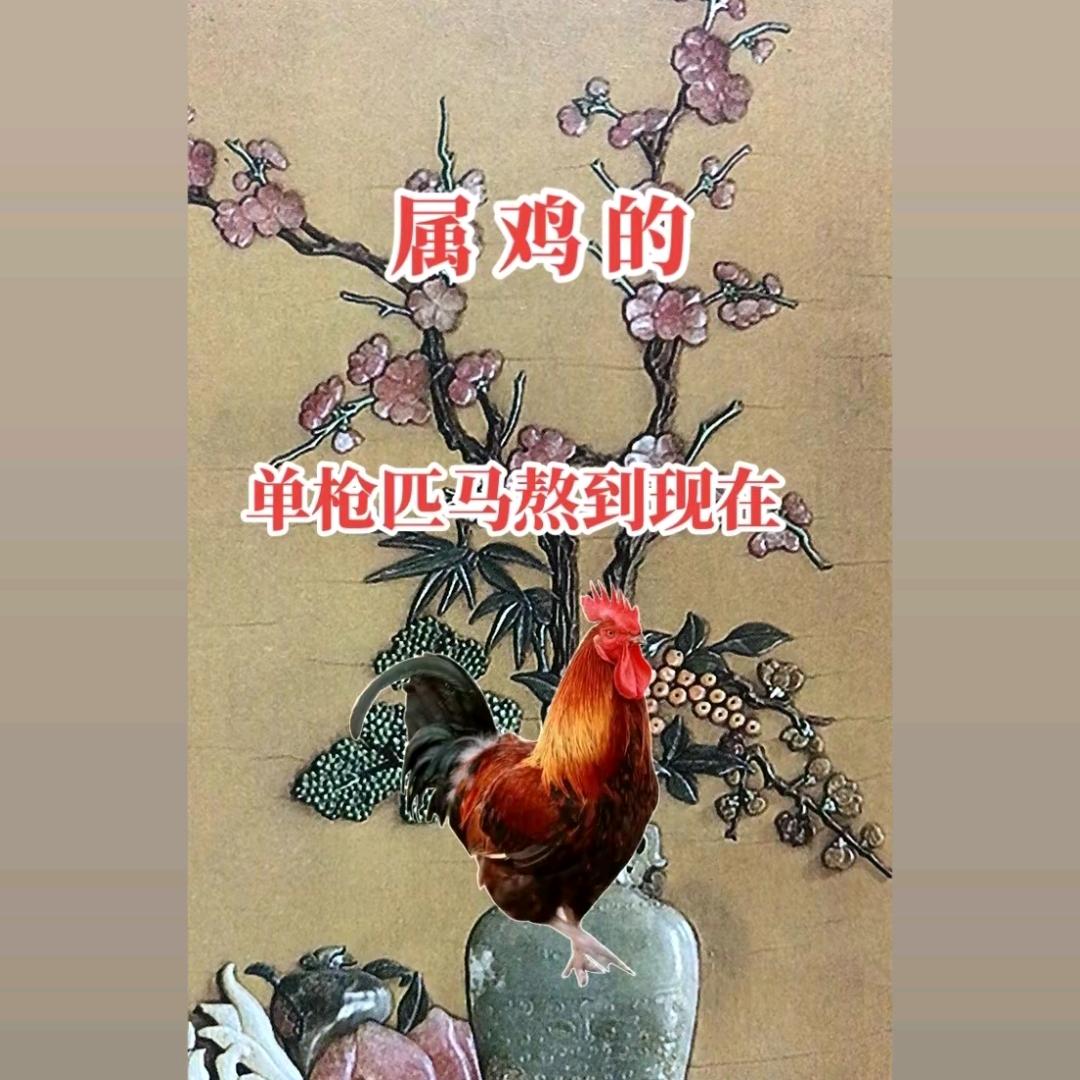 平哥货运
