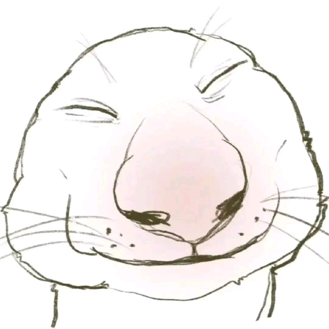 狄师兄