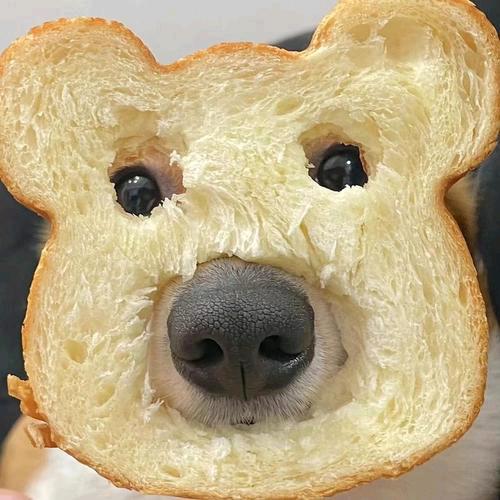 内衣秀