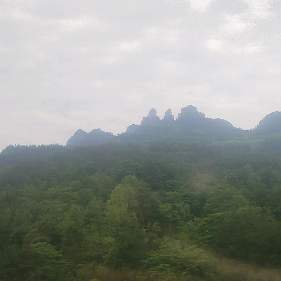 罗兰伯爵