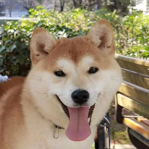 周瑜