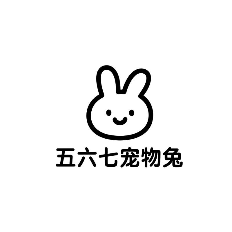 五六七宠物兔