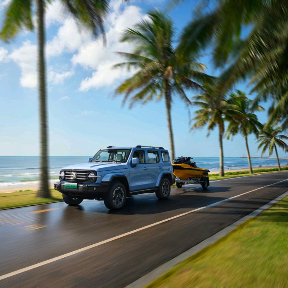 哈弗新能源(亳州宏硕店)专用号